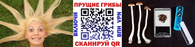 Псилоцибиновые грибы Magic Shrooms  Купить  Екатеринбург 